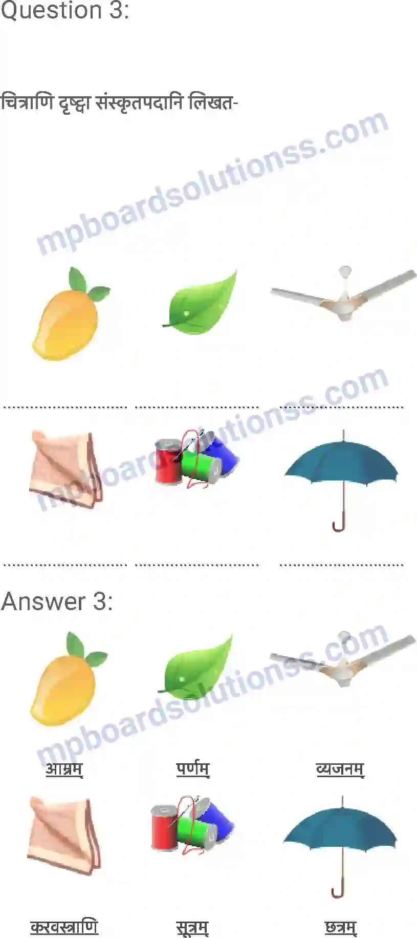 MP Board Book for Class 6 Sanskrit शब्द परिचयः 3 Image 5