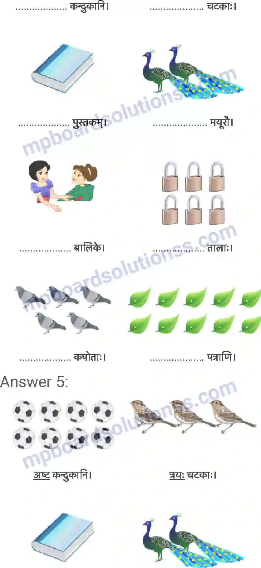 MP Board Book for Class 6 Sanskrit दशमः त्वम असि Image 8