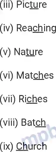 MP Board Book for Class 7 English Quality Image 4