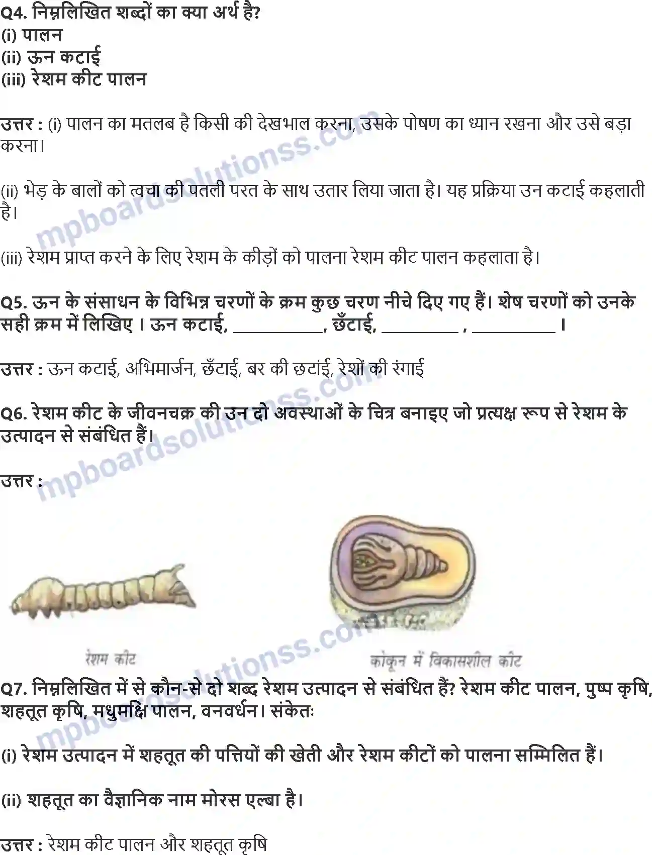 MP Board Book for Class 7 Science तन्तु से वस्त्र तक Image 2