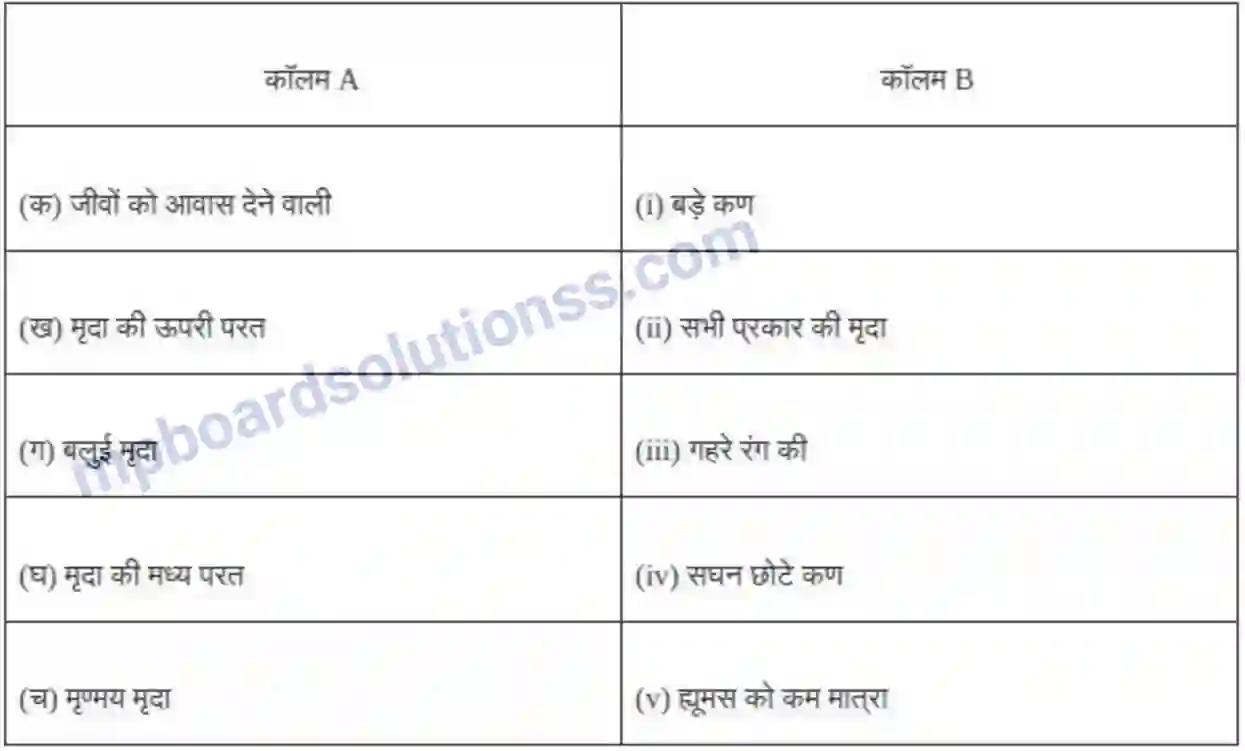 MP Board Book for Class 7 Science मृदा Image 2