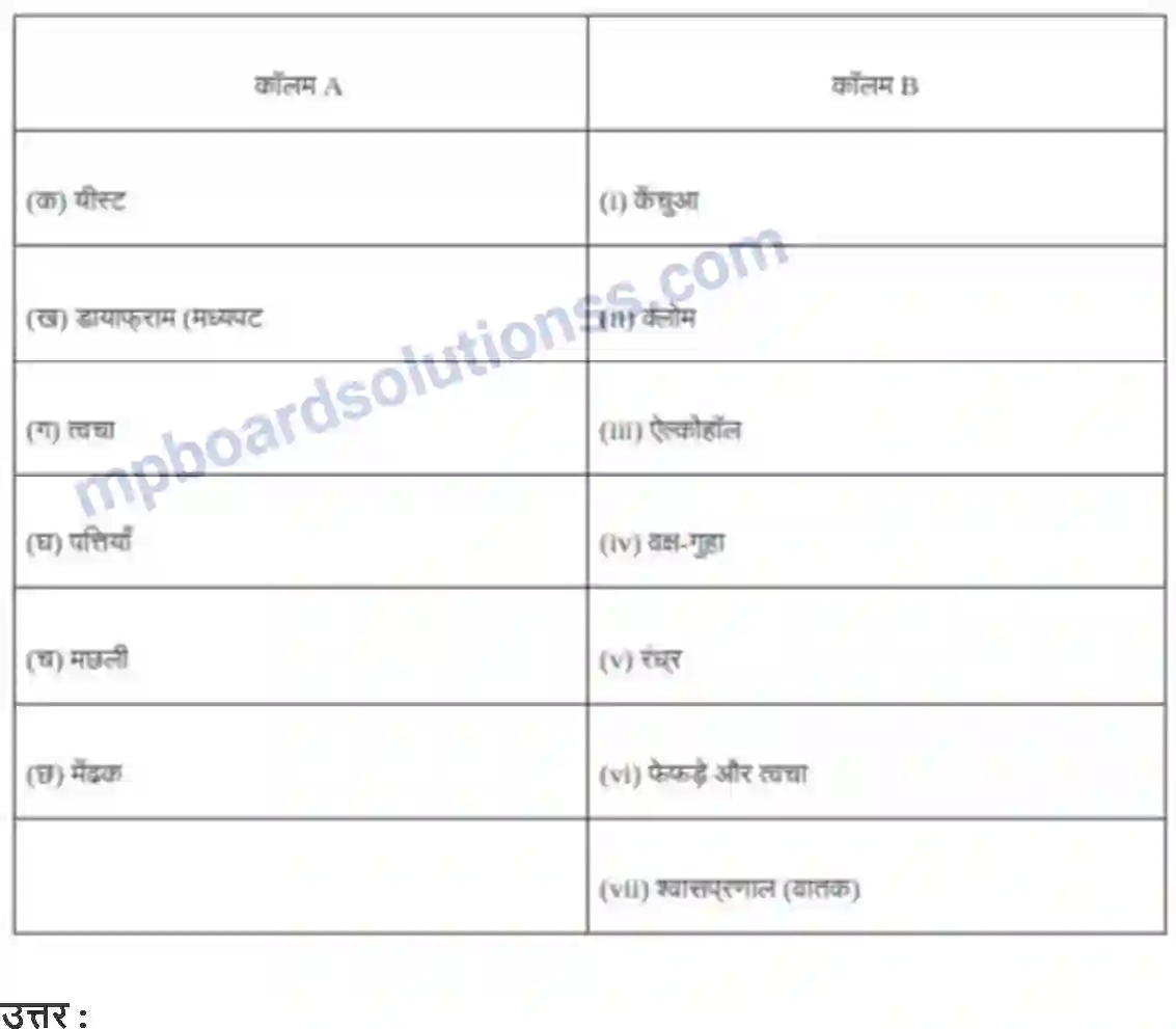 MP Board Book for Class 7 Science जीवों में श्वसन Image 3