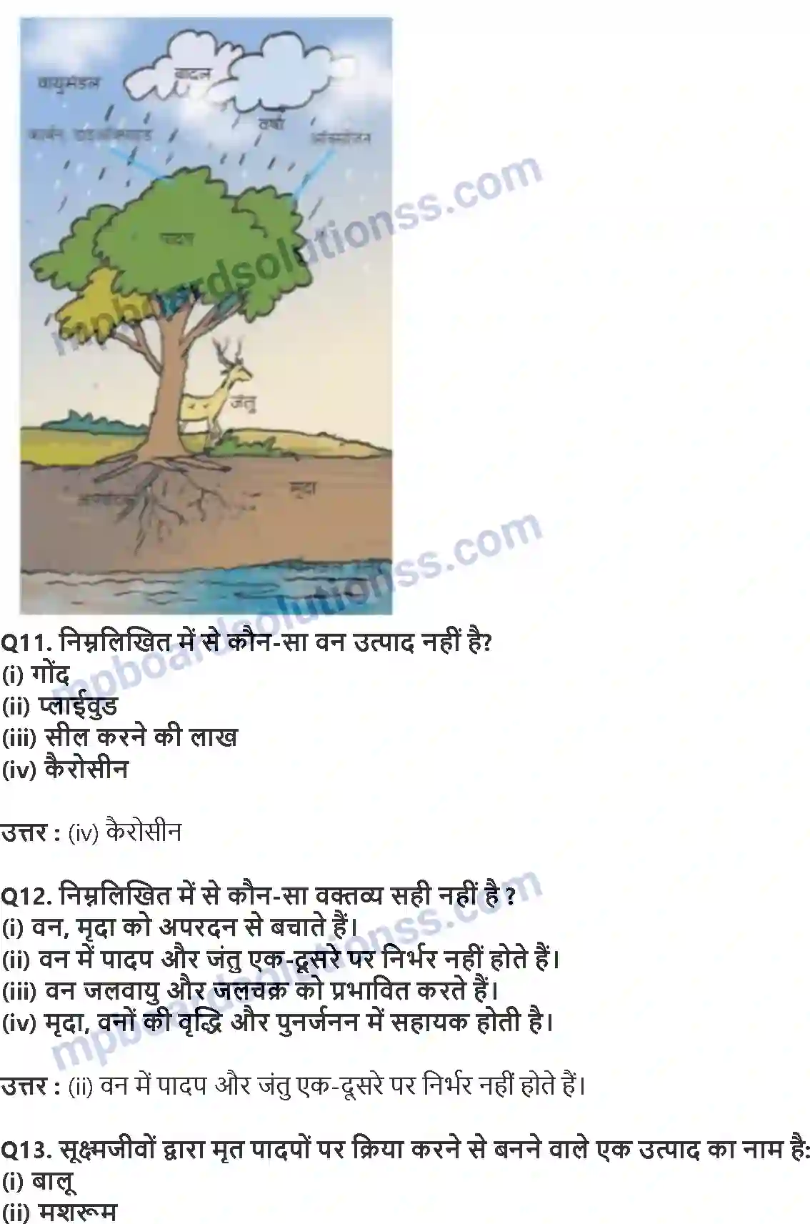 MP Board Book for Class 7 Science वन हमारी जीवन रेखा Image 4