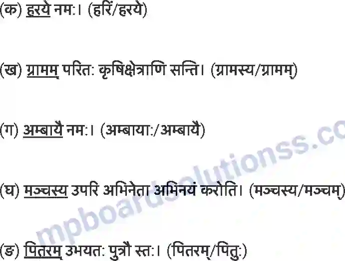MP Board Book for Class 7 Sanskrit विश्वबन्धुत्वम् Image 7