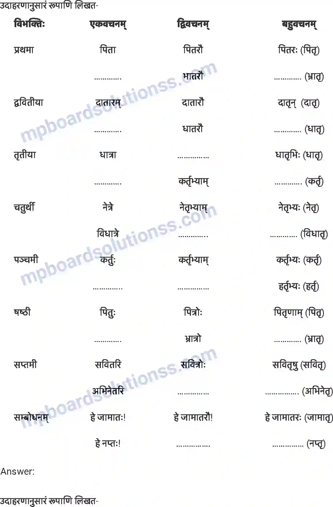MP Board Book for Class 7 Sanskrit अनारिकाया: जिज्ञासा Image 3