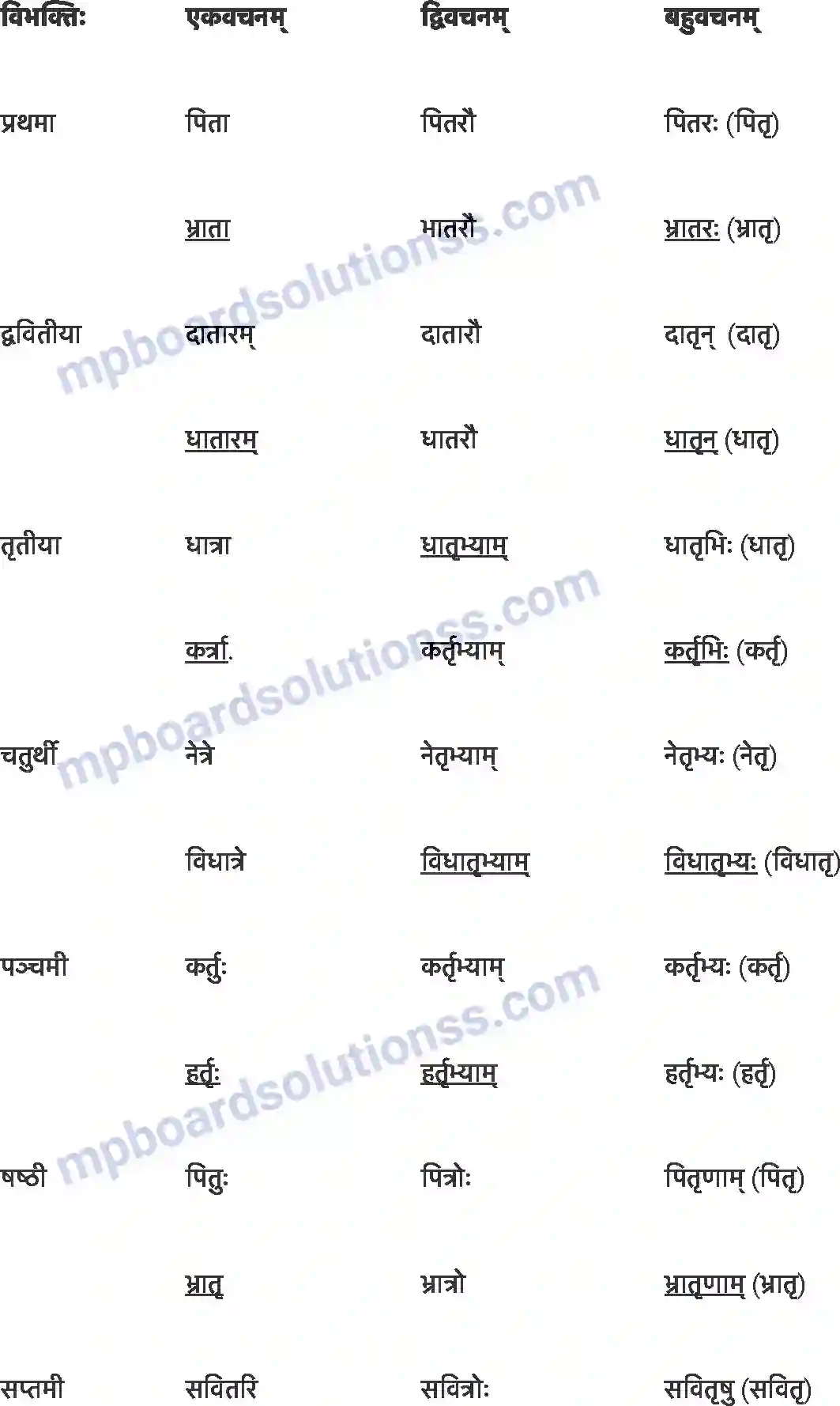 MP Board Book for Class 7 Sanskrit अनारिकाया: जिज्ञासा Image 4