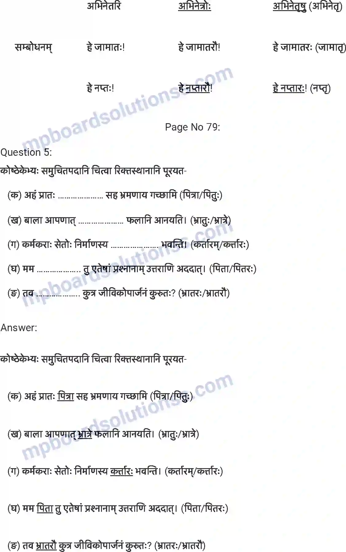 MP Board Book for Class 7 Sanskrit अनारिकाया: जिज्ञासा Image 5