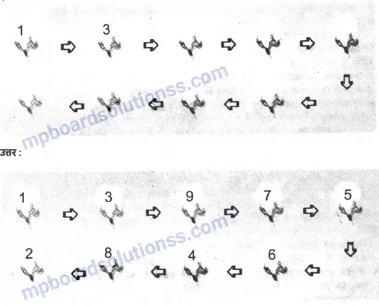 MP Board Book for Class 7 Social Studies बाजार में एक कमीज Image 5