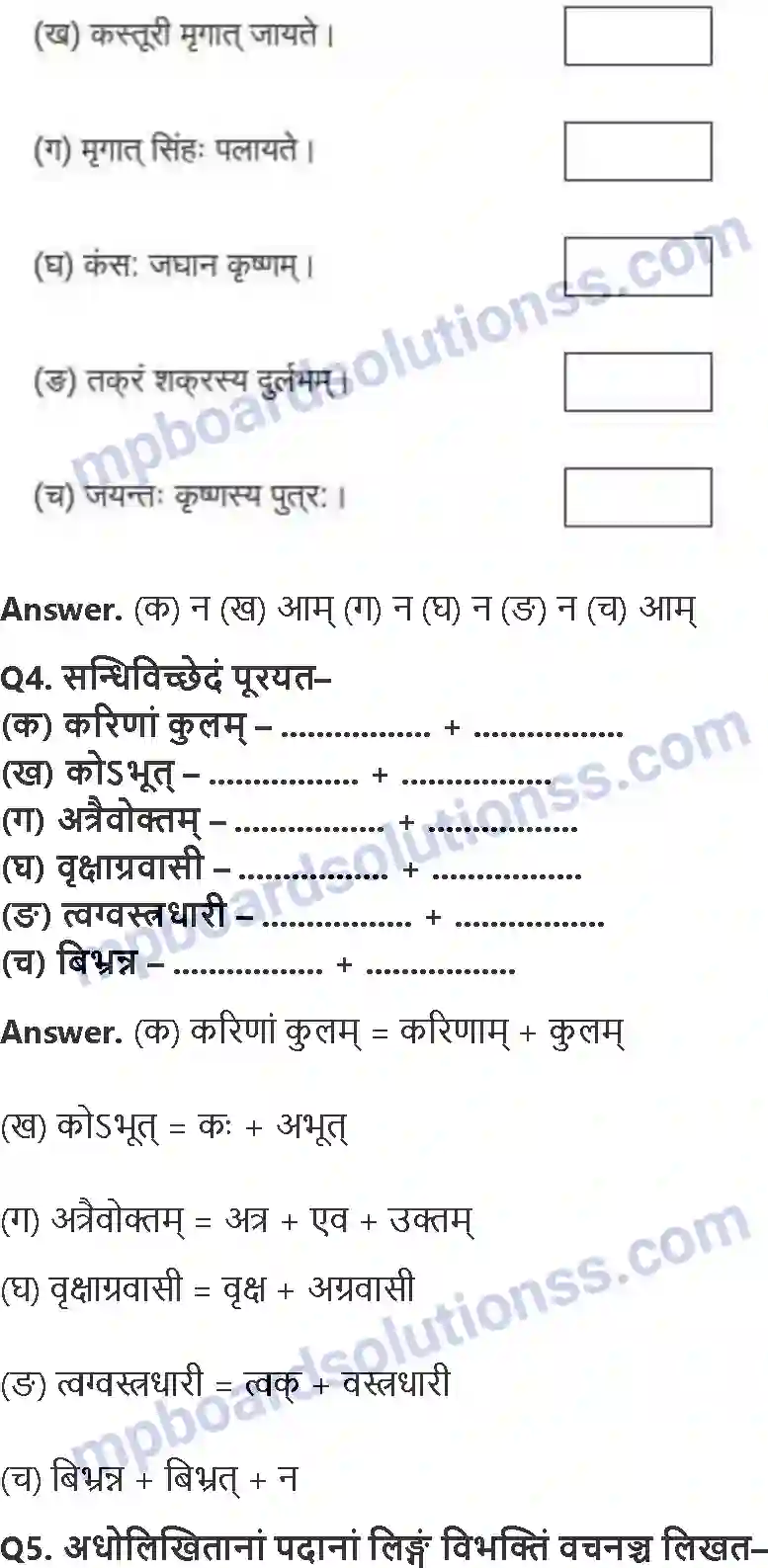 MP Board Book for Class 8 Hindi प्रहेलिकाः Image 2
