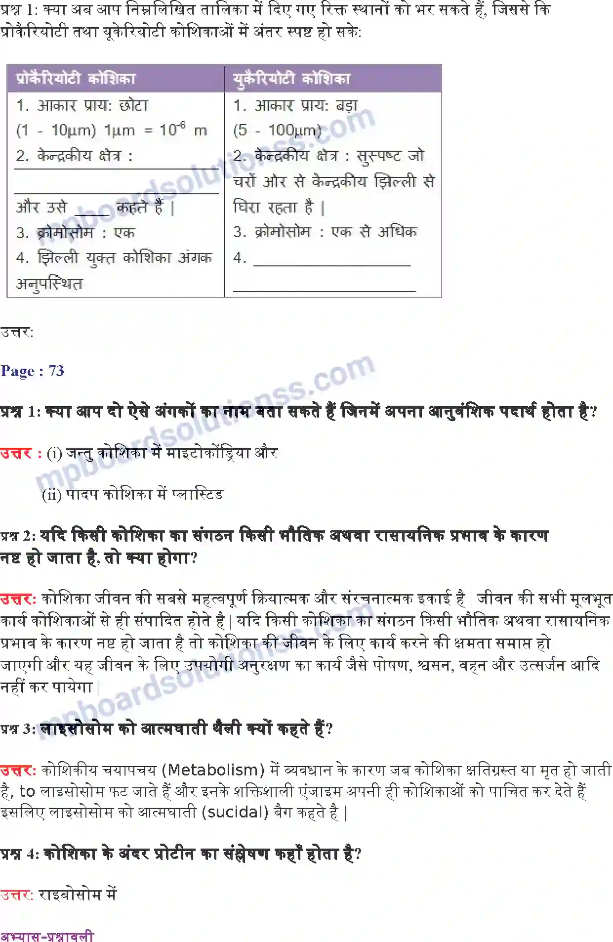 MP Board Book for Class 9 Science जीवन की मौलिक इकाई Image 4